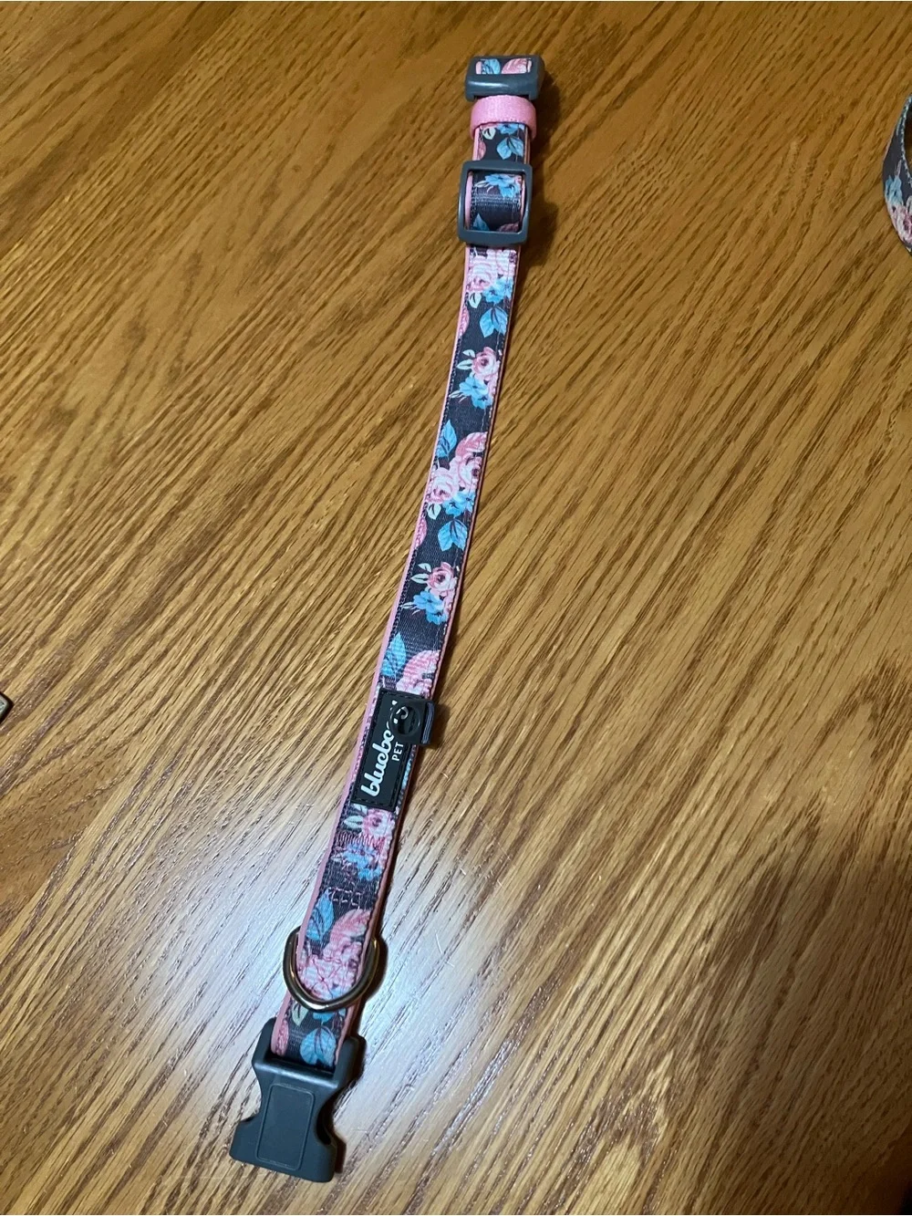 Pet Dog Collar with Matching Leash Blueberry